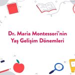 Montessori Yaş Gelişim Dönemleri